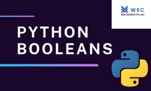 Python BOOLEANS websolution code.com