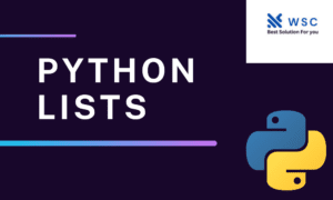 Python List websolutioncode.com