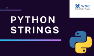 python Strings websolutioncode.com