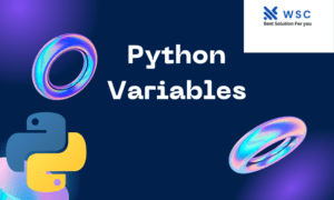 Python Variables | websolutioncode.com