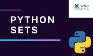 Python sets websolutioncode.com