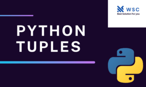 Python tuples websolutioncode.com