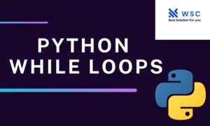 Python while loops web solution code.com