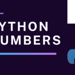 Mastering Integer and Float Manipulation Python Numbers