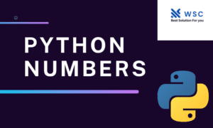PythonNumbers websolutioncode.com