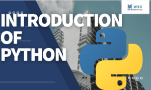 Introduction Of Python websolutioncode.com