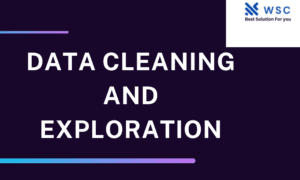 Data Cleaning and Exploration