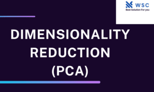 Dimensionality Reduction (PCA)