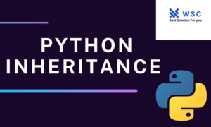Python inheritance websolwebsolutioncode.com
