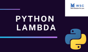 Python lambda websolutioncode.com