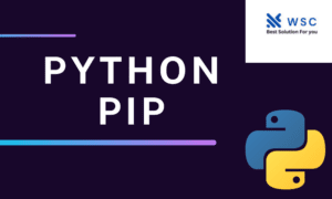 Python pip | websolutioncode.com