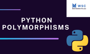 Python polymorphisms | websolutioncode.com