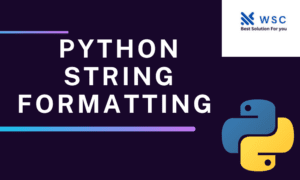 Python string formatting | websolutioncode.com