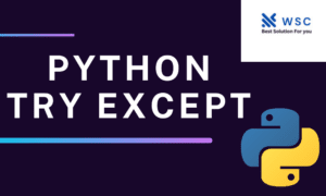 Python try except | websolutioncode.com