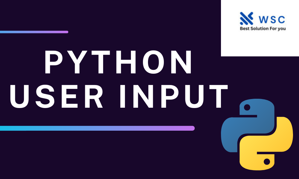 Python user input | websolutioncode.com