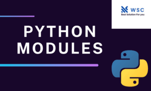 python modules websolutioncode.com