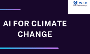 AI for Climate Change | Websolutionode.com