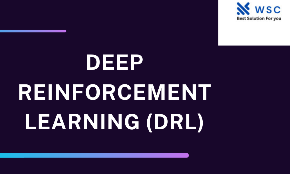 Deep Reinforcement Learning (DRL)