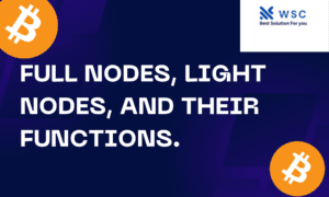 Full nodes, light nodes, and their functions.