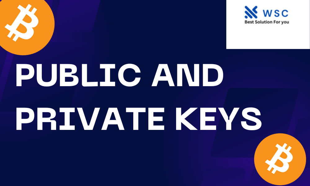 Role of Public and Private Keys in Bitcoin | websolutioncode.com