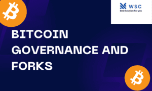 Bitcoin Governance and Forks | websolutioncode.com