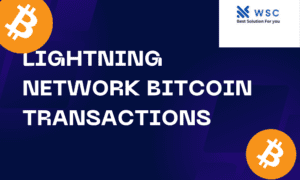 Lightning Network Bitcoin Transactions | websolutioncode.com