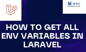 How to Get All env Variables in Laravel | websolutioncode.com