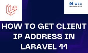 How to Get Client IP Address in Laravel 11 | websolutioncode.com