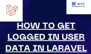 How to Get Logged in User Data in Laravel